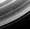 urnrings.gif (5648 bytes)