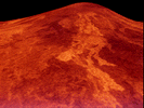 venmagel.gif (11547 bytes)